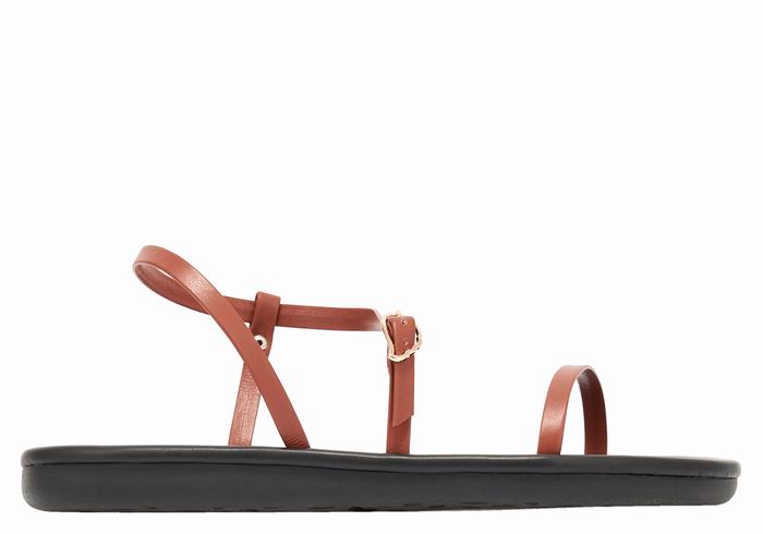 Sandales Bride Arrière Ancient Greek Sandals Niove   | IID-2292673